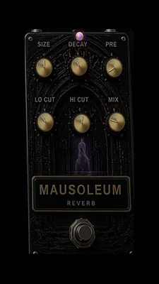 MAUSOLEUM stompbox: brass knobs under stone crypt arches